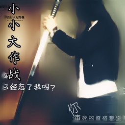 小小大作战v1.3C版作弊版