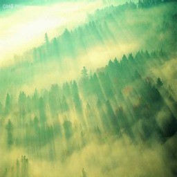 灾厄IV黎明天际3.0(含隐藏英雄密码)