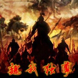 魏我独尊1.2