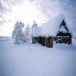 逃离疯人院2之冰天雪地