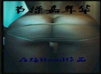 节操嘉年华V 4.0G傻瓜版