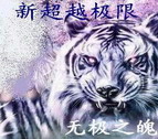 新超越极限2.43F正式版(附隐藏英雄密码)