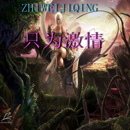 只为激情2.7A正式版