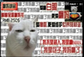 翻妈包之翻斗世界4.0正式版