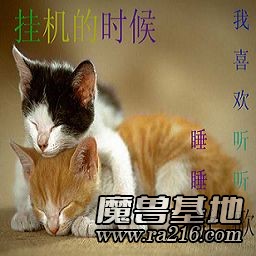 木头ren挂机中。。。