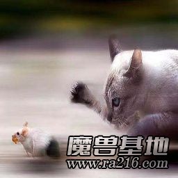 猫捉老鼠 4.12正式版