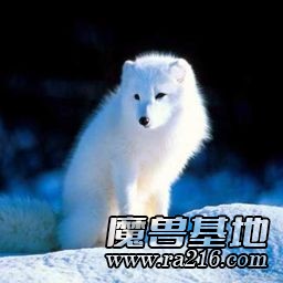 雪地幸存者IMBA1.24正式版11专版