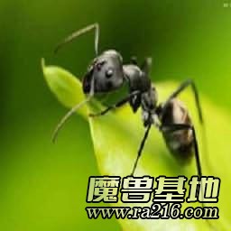 ANT