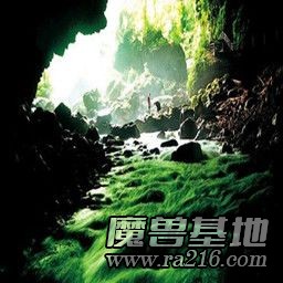 进化之战V1.0《百兽争霸》