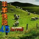 羊羊快跑4.15反作弊