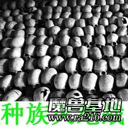 种族灭绝战
