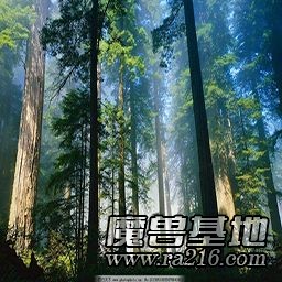 新森林大逃亡传Ⅲ