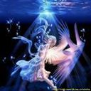血浴天使之劫灰之剑 2008贺岁版